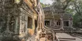 The ancient temple of Ta Prohm at Angkor Wat, Cambodia. Intertwining jungle trees roots and masonry ancient structures.